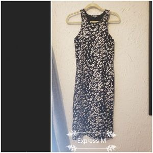 Express Leopard Print Dress